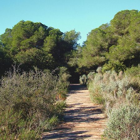 Albufera Dreams Nature Suites Βαλένθια Εξωτερικό φωτογραφία