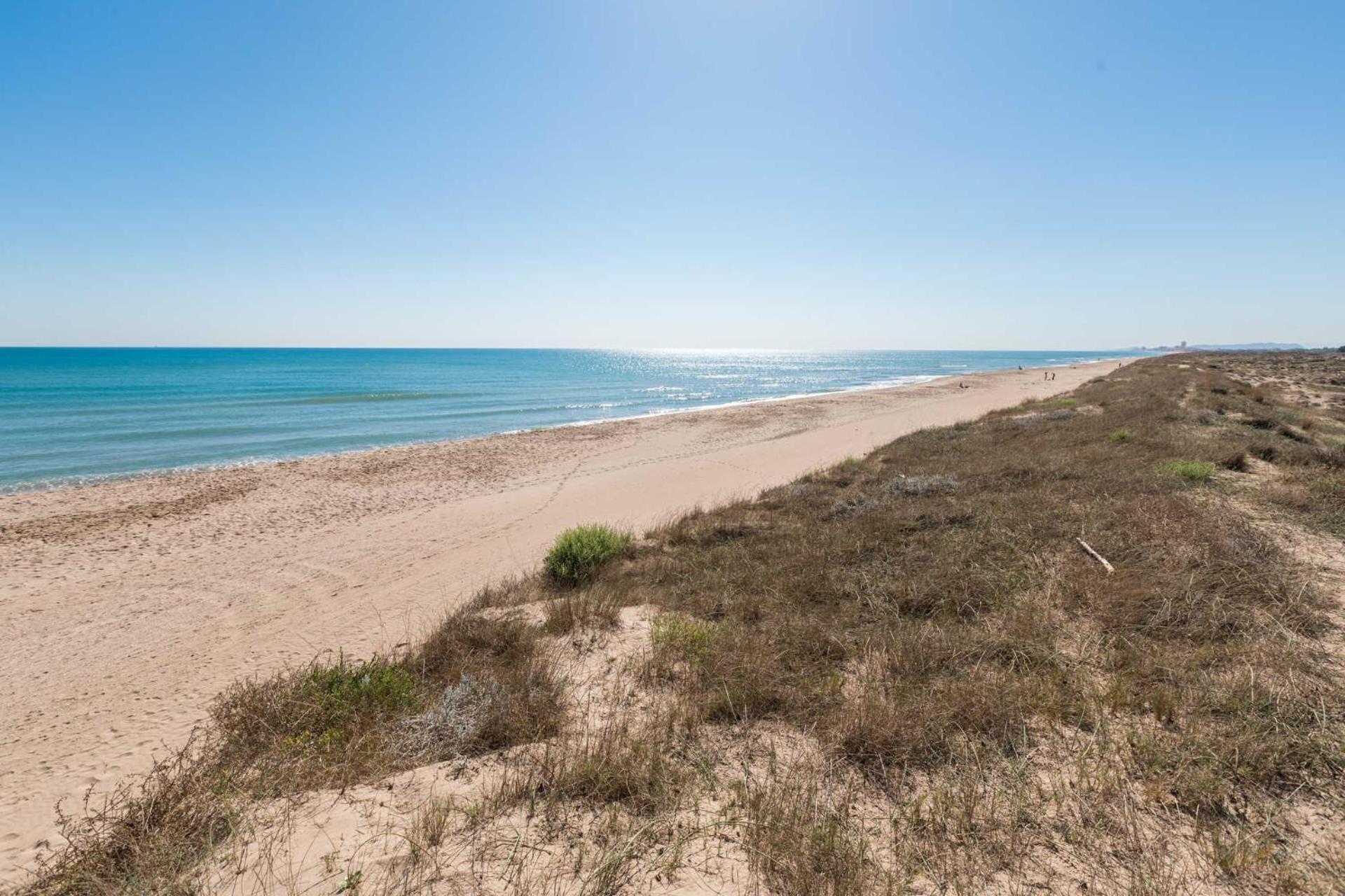 Albufera Dreams Nature Suites Βαλένθια Εξωτερικό φωτογραφία