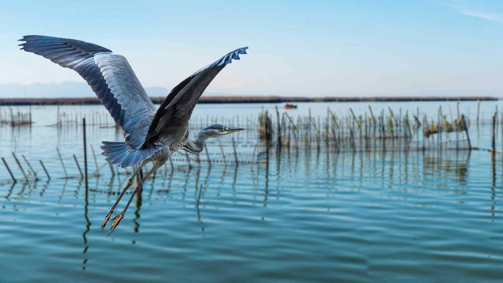 Albufera Dreams Nature Suites Βαλένθια Εξωτερικό φωτογραφία