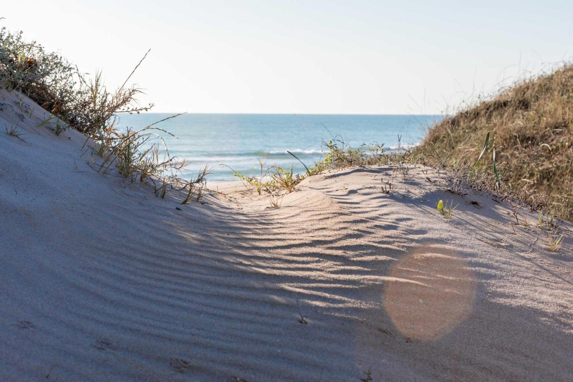 Albufera Dreams Nature Suites Βαλένθια Εξωτερικό φωτογραφία